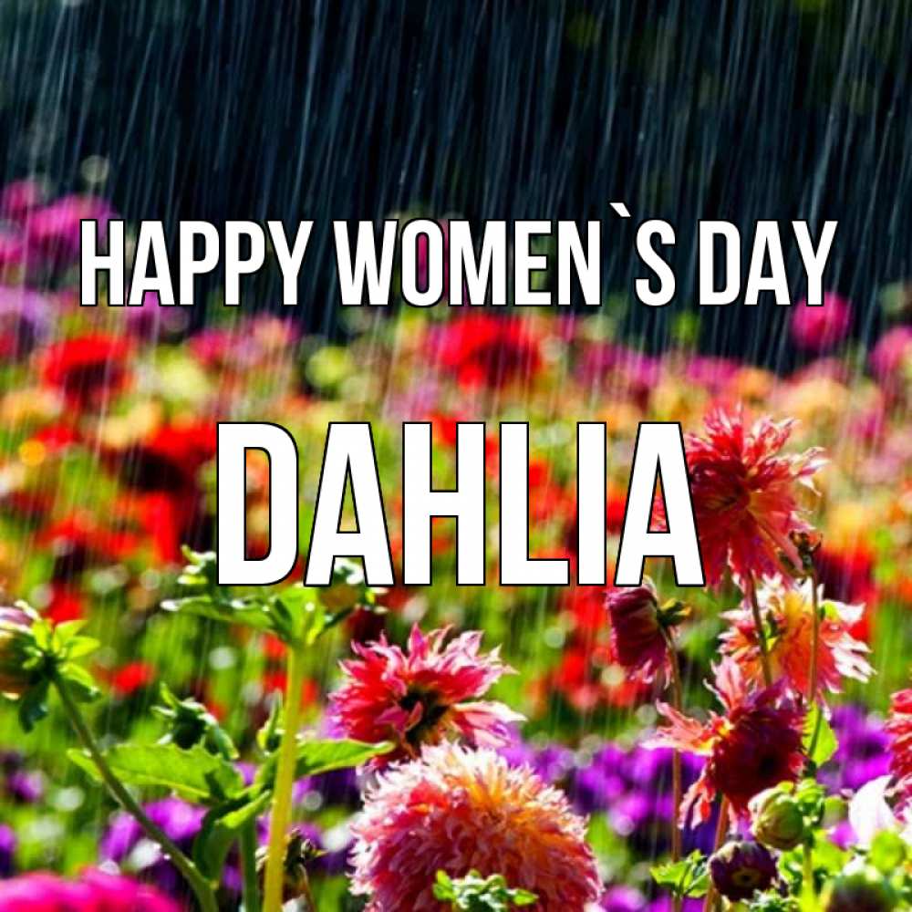 Greetings card с именем, Dahlia happy women`s day цветы под дождиком к международному женскому дню Greetings with text for free download 